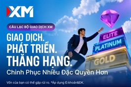 Câu Lạc Bộ Giao Dịch XM: Khi hành trình giao dịch trở thành giá trị đáng được ghi nhận