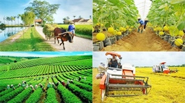 Thủ tướng giao bổ sung kế hoạch đầu tư công vốn ngân sách trung ương cho 27 địa phương