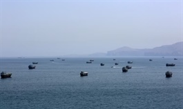 IEA cảnh báo rủi ro đối với kinh tế toàn cầu nếu eo biển Hormuz tiếp tục tê liệt