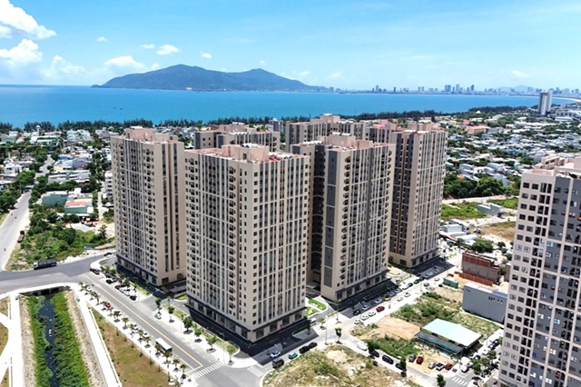 Bài viết