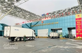 Customs authority orders faster clearance for agricultural exports at border gates