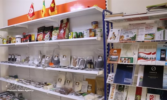 Việt Nam, Algeria businesses step up trade links, explore broader investment cooperation