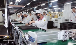 Việt Nam-EFTA deal set to further boost bilateral trade growth