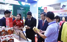 Việt Nam-Laos trade targets US$10 billion