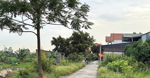 Xây nhà trên đất nông nghiệp, khi Nhà nước thu hồi có được bồi thường?