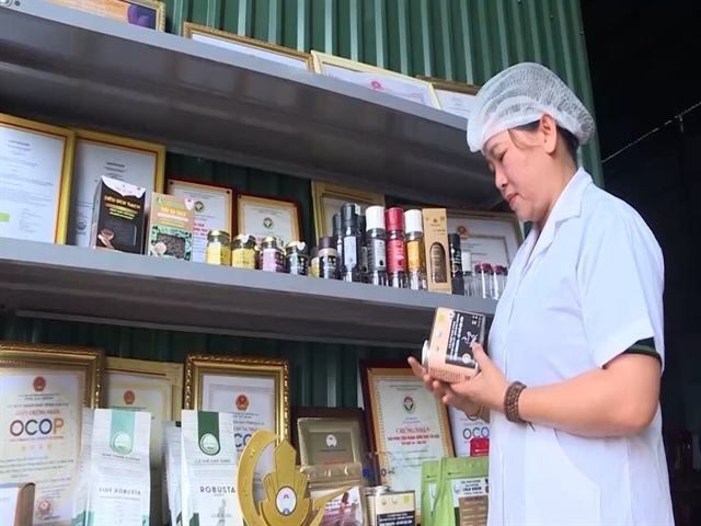 Winning global markets starts with protecting Vietnamese brands