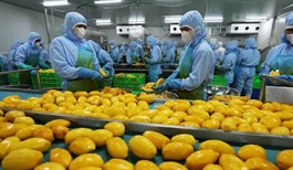 Mỹ thúc đẩy xuất khẩu nông sản sang Việt Nam