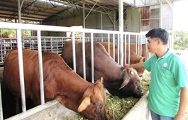 Lâm Đồng pushes for 5.01% agricultural growth target in 2026