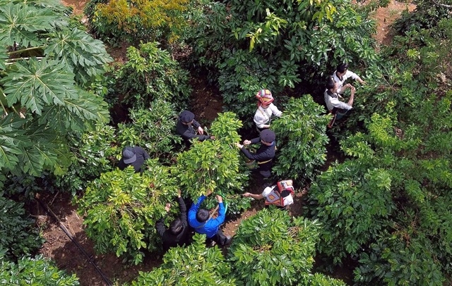 VN seeks business links to boost exports to Argentina, Latin America
