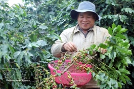 Efforts stepped up to bring Vietnamese products into supply chains in Argentina