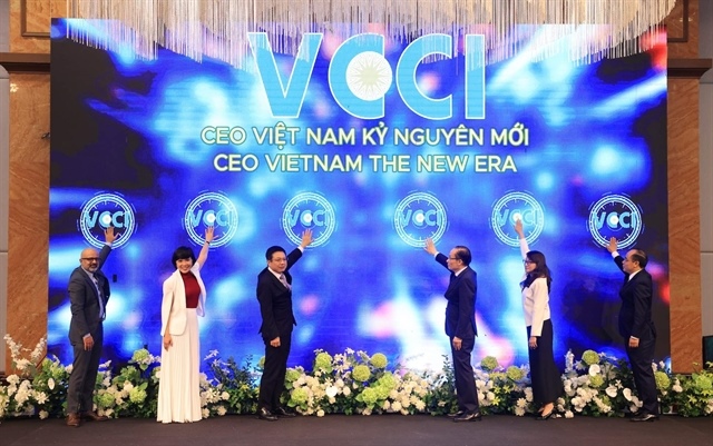 Việt Nam launches programme to develop globally competitive CEOs
