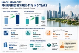 Ho Chi Minh City's FIEs rise by 41 per cent over five years