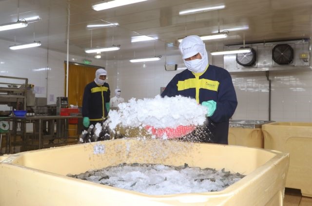 Deeper reforms needed to achieve target of 2 million firms