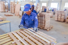 Phú Tài chốt tạm ứng cổ tức 1,000 đồng/cp