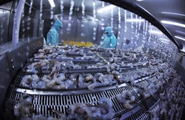Agro-forestry-aquatic product exports rise nearly 12 per cent in July