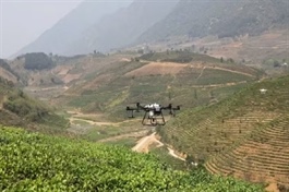 New growth drivers offer Việt Nam’s agriculture chance to accelerate