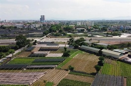 Hà Nội cho Thương mại Đại An chuyển mục đích sử dụng hơn 3.4ha đất làm trung tâm văn phòng