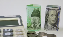 Mỹ phát tín hiệu ủng hộ ổn định đồng won của Hàn Quốc