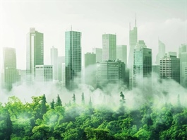 Greenhushing: Vì sao nhiều tập đoàn lớn chọn im lặng thay vì khoe thành tích xanh?