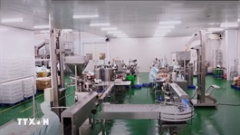 Tiêu chí mới phân loại doanh nghiệp để thực hiện cơ cấu lại vốn nhà nước