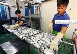 Fishery exports maintain growth momentum despite mounting headwinds