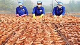 Thuế mới của Mỹ tạo thêm sức ép lên thủy sản Việt