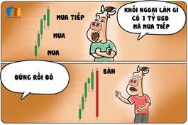 Khối ngoại có tuần mua ròng