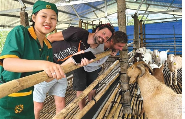 Khánh Hòa positions itself as Việt Nam’s emerging halal hub