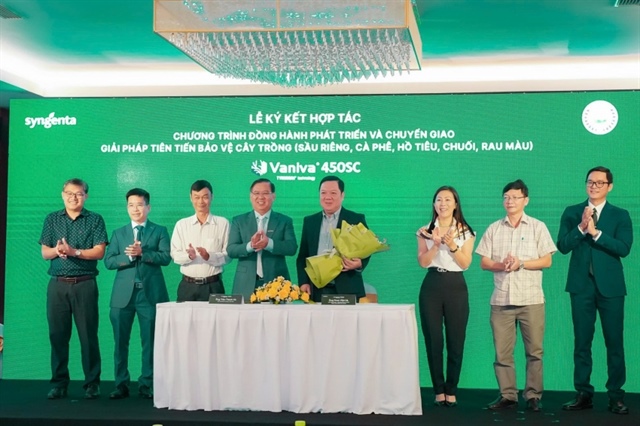 Syngenta Vietnam completes its root-protection solution with Vaniva® 450sc for fusarium wilt