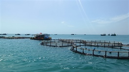 VN sets out plan to become strong maritime nation by 2030