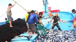 Việt Nam quyết tâm gỡ “thẻ vàng” IUU trong năm 2026