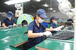 FTA Index 2025 to be unveiled later this month
