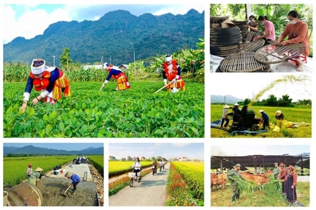 Vietnam proposes unified national target programme to streamline resources, strengthen local autonomy (translated)