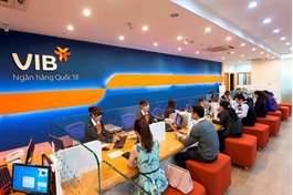 VIB sắp phát hành thêm 323 triệu cổ cp, nâng vốn điều lệ lên 37,274 tỷ đồng