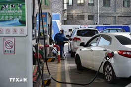 IEA tiếp tục hạ dự báo nhu cầu dầu mỏ năm 2026