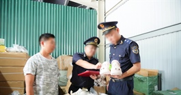 Hải quan phát hiện 800.000 sản phẩm nghi xâm phạm sở hữu trí tuệ