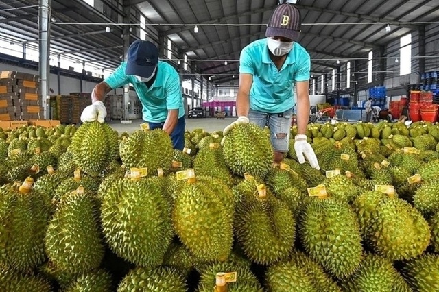 China spends nearly $1b on Vietnamese durian in first half