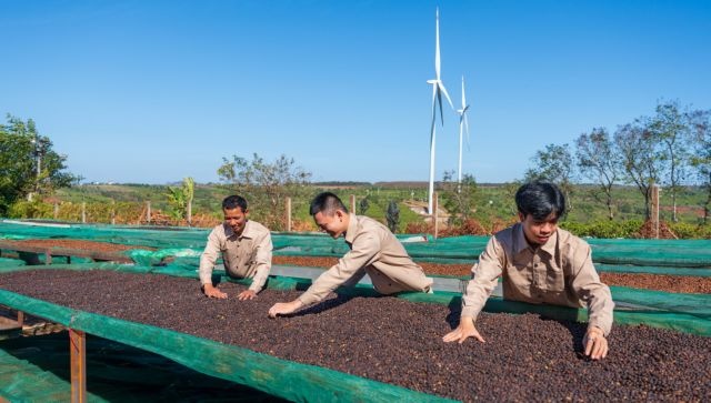 Việt Nam, New Zealand seek new impetus for trade ties