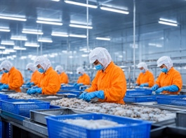 Thuế chống bán phá giá cá tra đối với Nam Việt, Caseamex cao hơn mức sơ bộ gần 4 lần