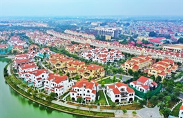 MST trúng đấu giá dự án gần 1,200 tỷ tại Hà Nội