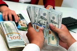 Tuần 10-14/08: USD quốc tế suy giảm, tỷ giá tự do lao dốc
