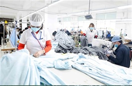 Việt Nam’s exports to New Zealand post strong growth