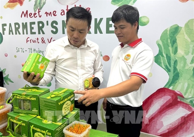 HCM City shifts OCOP focus from earning stars to raising standards