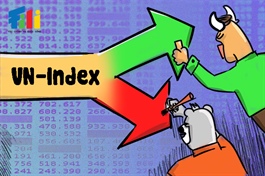 Nhịp đập Thị trường 19/08: VN-Index giằng co trong bối cảnh thanh khoản sụt giảm
