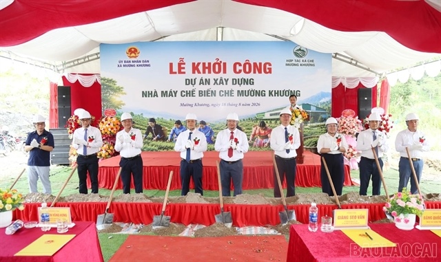 Lào Cai breaks ground on tea processing plant