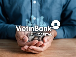 Sôi động các thương vụ cổ phiếu quy mô lớn tại VietinBank Capital