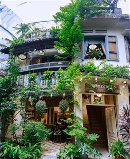 Small alleys offer refuge for Hà Nội's F&B sector