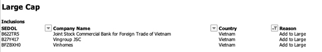 FTSE Russell names 27 Vietnamese stocks in FTSE GEIS review (translated)