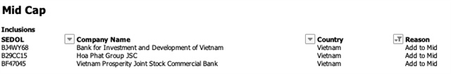FTSE Russell names 27 Vietnamese stocks in FTSE GEIS review (translated)
