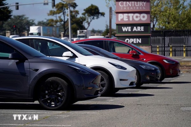 Xe ôtô của Tesla tại bãi đỗ ở San Bruno, California, Mỹ. (Ảnh: THX/TTXVN)